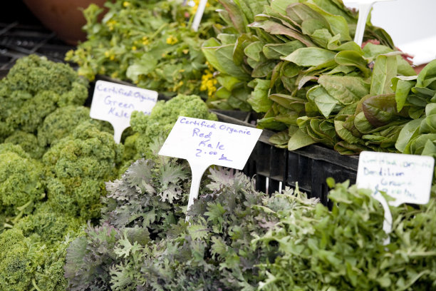 新鲜的有机甘蓝在农贸市场图片下载