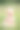 田野里的小男孩图片下载