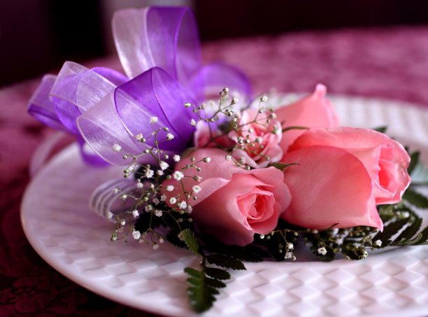 舞会的玫瑰图片下载