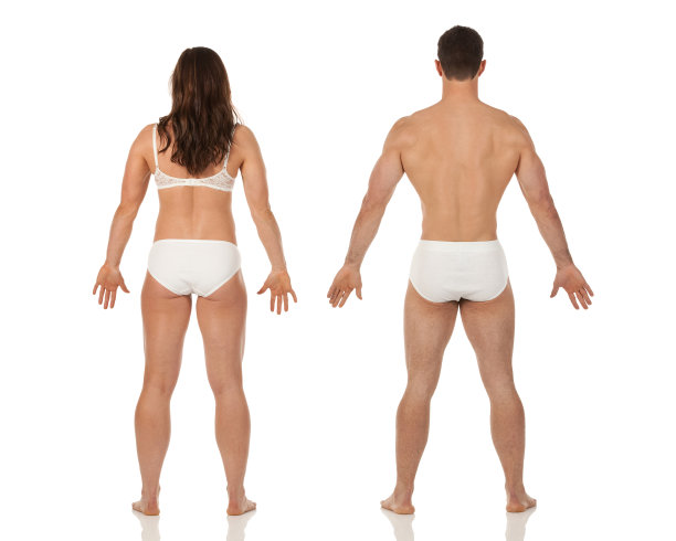 一对穿着内衣的夫妇的后视图图片下载