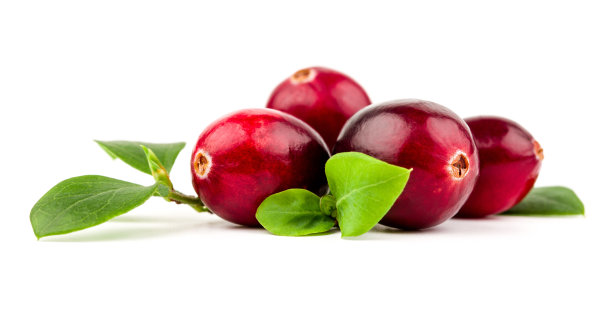 白色背景上孤立的蔓越莓图片下载