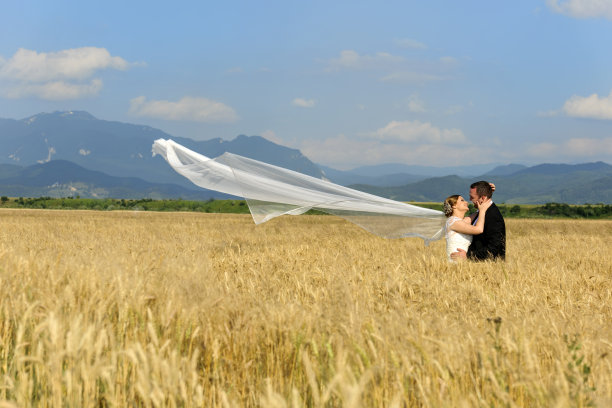 麦田里的新婚夫妇图片下载