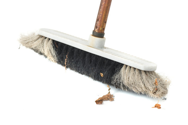 布隆姆扫帚白色背景上布满了树叶和灰尘图片下载