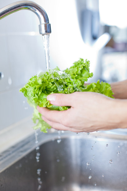 清洗新鲜的生菜素材图片