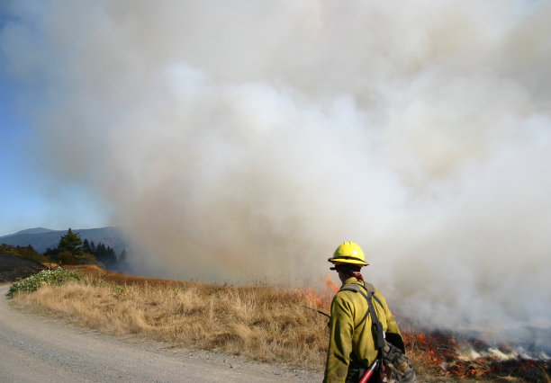 消防队员巡逻图片下载