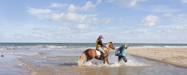 谁会是妈妈?图片下载