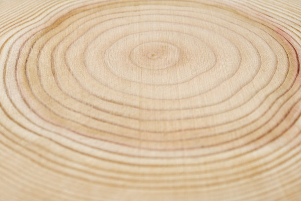 近距离的树木年轮与浅景深的领域图片下载