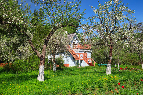 小别墅,俄罗斯图片下载