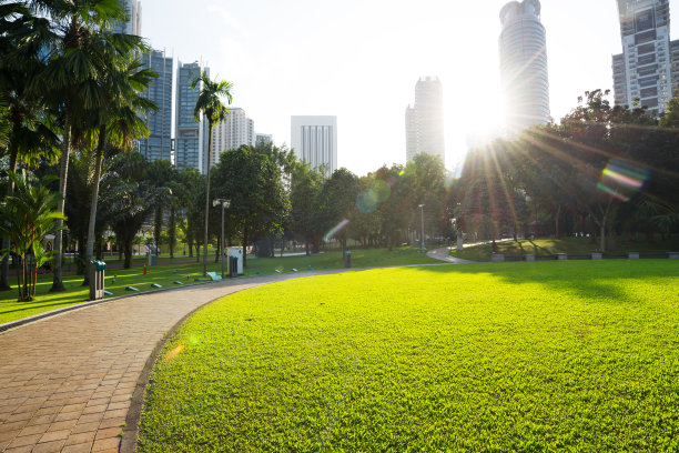 与阳光花园图片下载