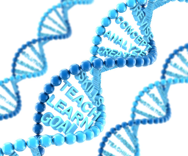 教学和学习图片下载