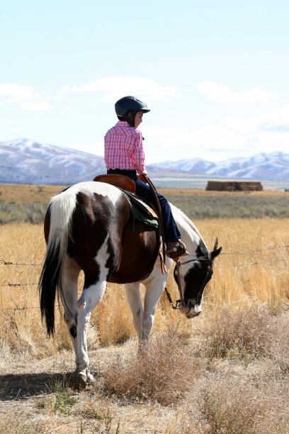 骑着马的女牛仔图片下载
