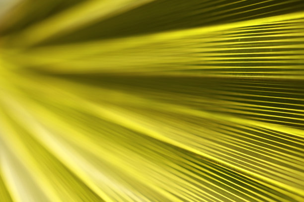 绿色软背景图片下载