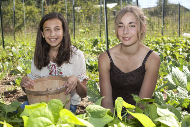 Bean选择图片下载