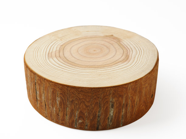 孤立的树木横截面在白色背景上的镜头图片下载