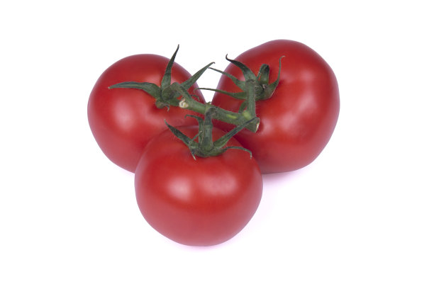 三个西红柿图片下载