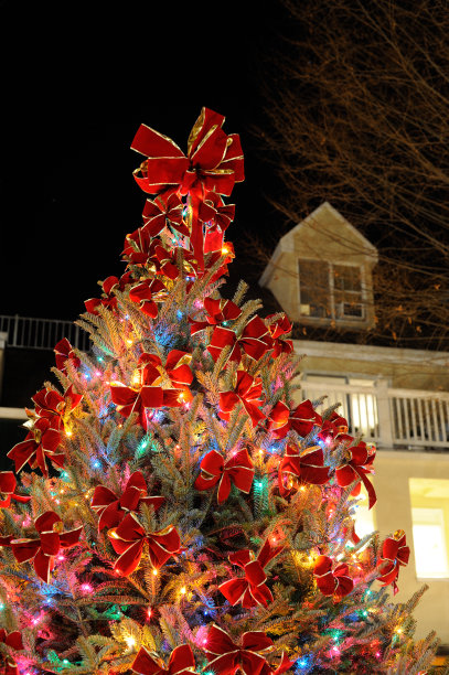 圣诞树图片下载