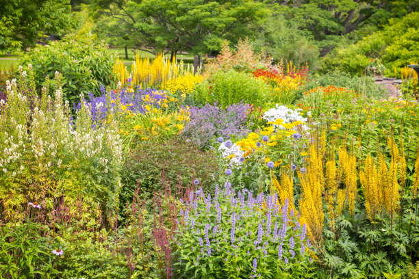 奢华多彩的夏日花园图片下载