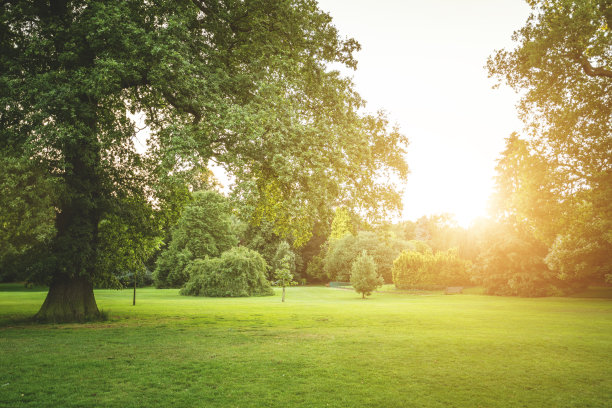 公园图片素材ID：146674900