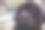 一只纽芬兰小狗坐在一旁观看图片下载
