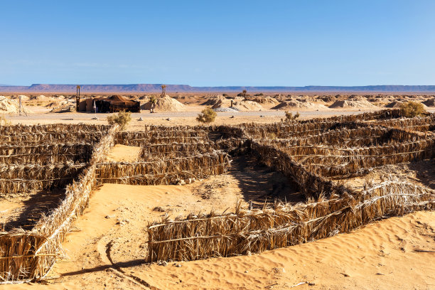 在摩洛哥的撒哈拉沙漠，用芦苇做的防护网图片下载