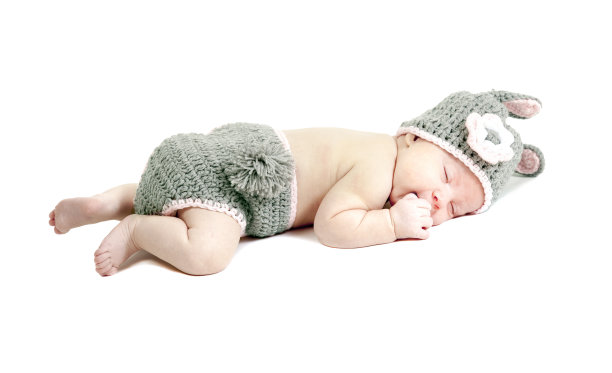 我的小兔子。图片下载