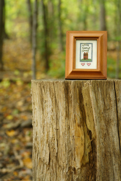 家甜森林十字绣树桩上图片下载