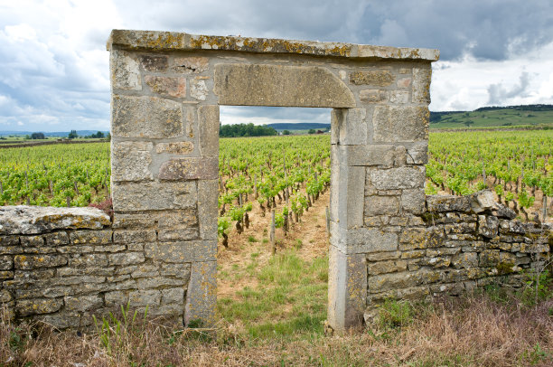 葡萄园网关图片下载