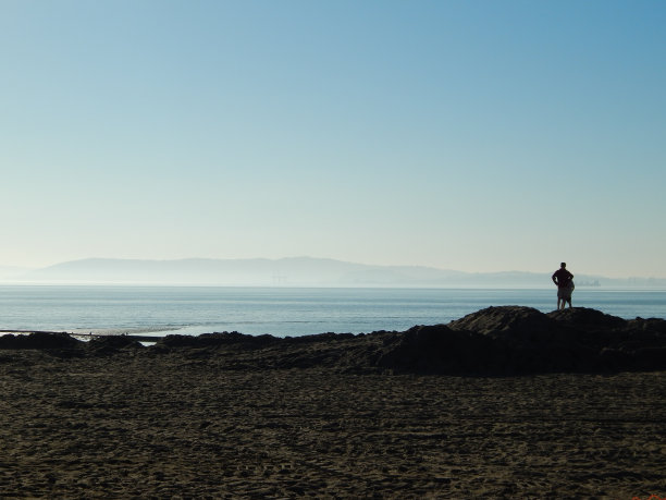 父子凝视着旧金山湾图片下载