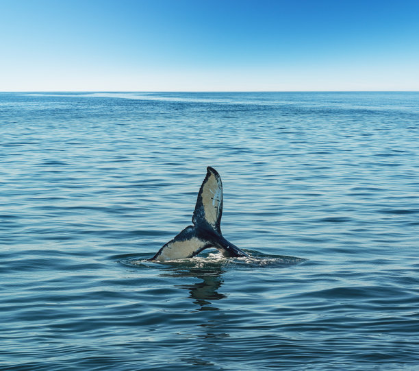 潜水深度图片下载