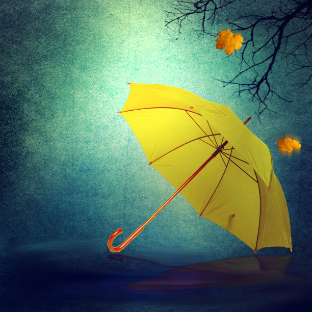 雨伞在秋天的背景上。图片下载
