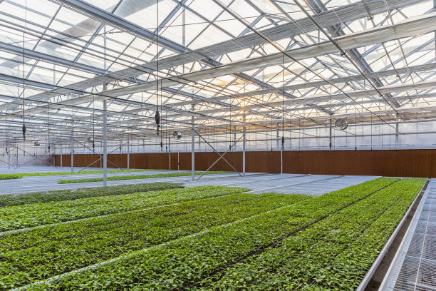 花园中心的温室图片下载