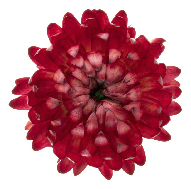 伊莫特尔图片下载