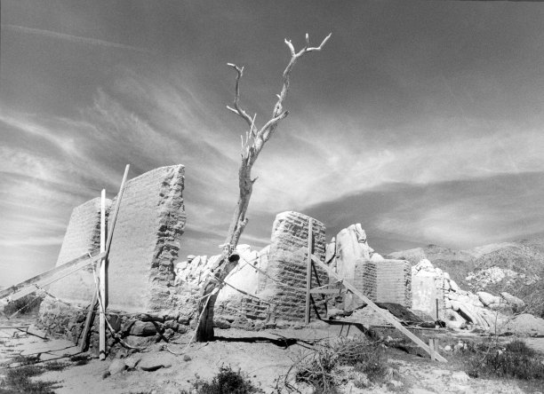 沙漠中的土坯房子废墟和扭曲的树图片下载