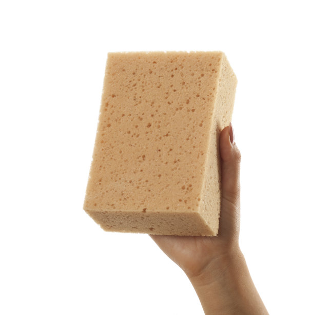 女人手里拿着一块白色的大干海绵图片下载