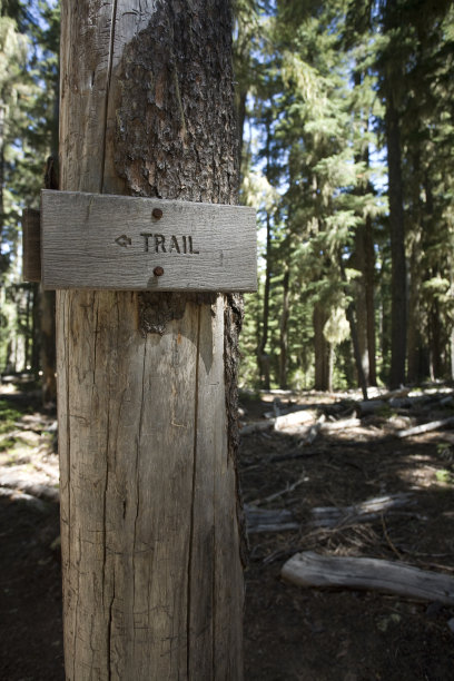 跟踪信号图片下载