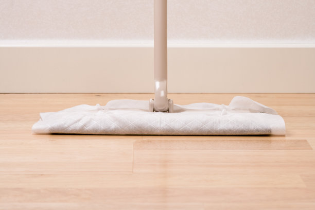 灰尘清扫器图片下载