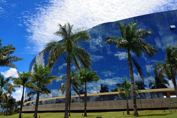 热带的办公室图片下载