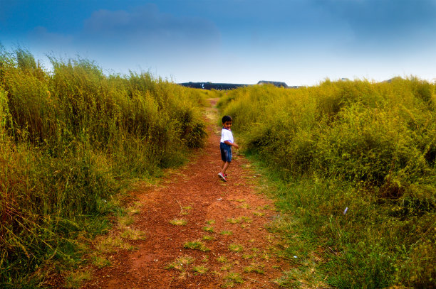 男孩独自走图片下载