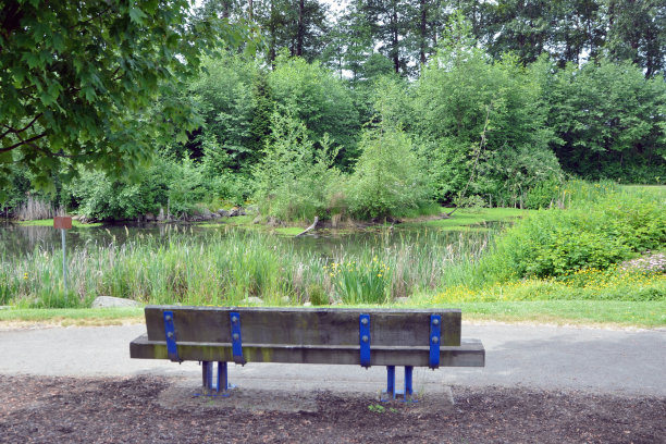 公园的长椅上图片下载