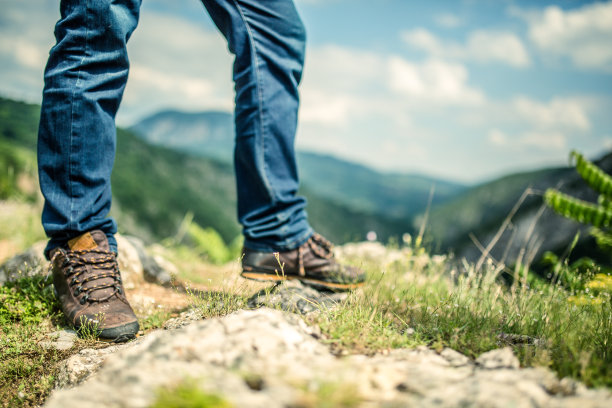 旅行者图片下载