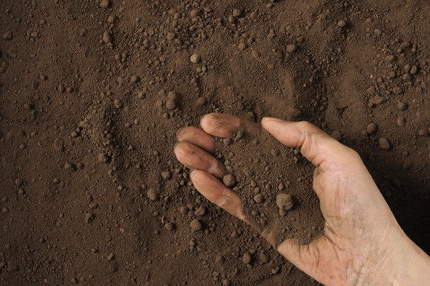 以腐殖质土壤为背景的土壤图片下载