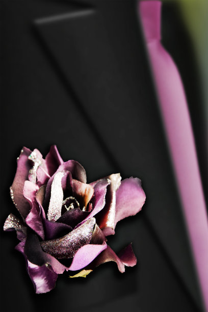 带有玫瑰的男夹克元素。图片下载