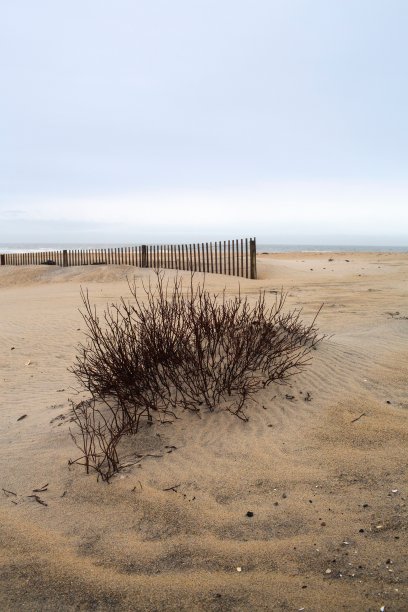 大西洋海滩在一个多云的冬天垂直图片下载