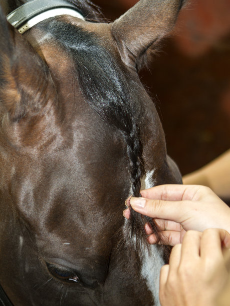 马编织图片下载
