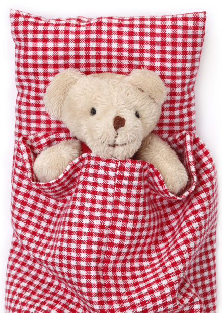 泰迪熊图片下载