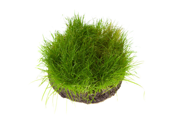 地盘圆图片下载