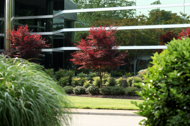 玻璃办公大楼图片下载