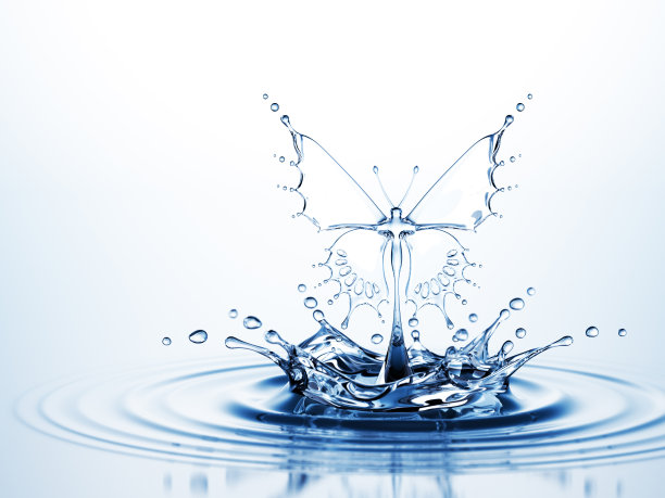 水的蝴蝶图片下载