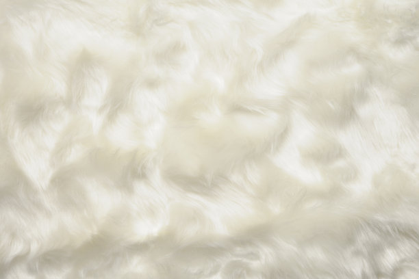 特写白色毛皮纹理背景图片下载