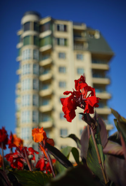 城市园艺图片下载